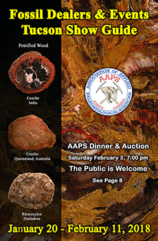 AAPS 2018 Fossil Dealers and Events at the Tucson Mineral and Fossil Shows AAPS 2018 Fossil Dealers and Events at the Tucson Mineral and Fossil Shows