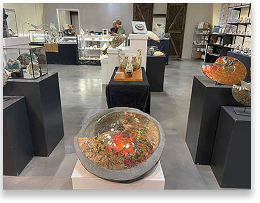 Larson Paleontology Tucson Gallery