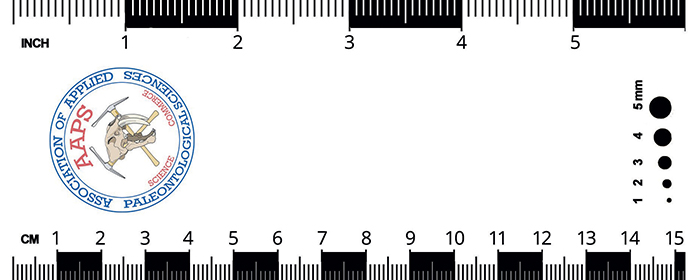 New Laminated AAPS Photo Scale